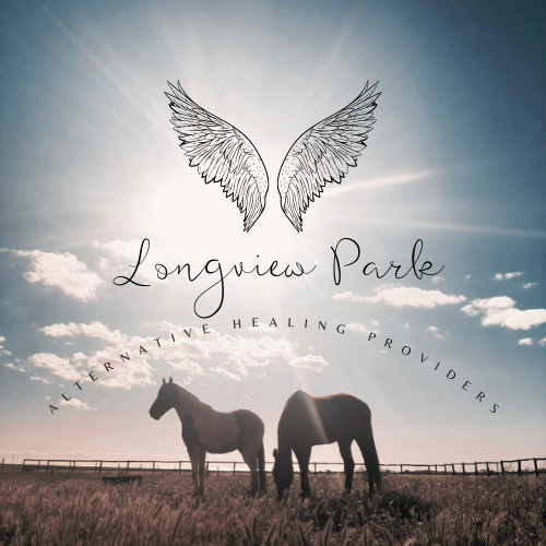 Longview Park Healing Through Horses